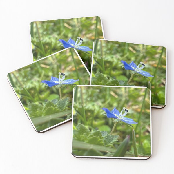 Item preview, Wild Blue Wonder designed and sold by its AdDiCtENG.