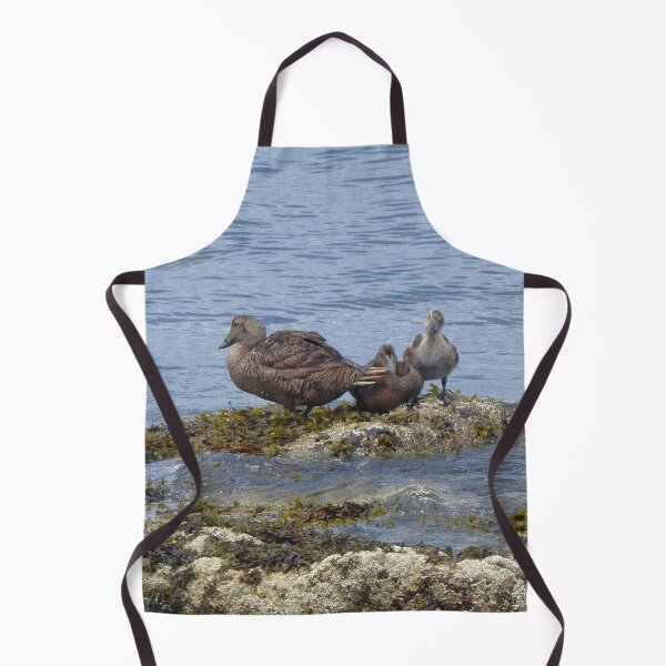 Item preview, Common Eider Ducks on Rock designed and sold by HematiteDesign.