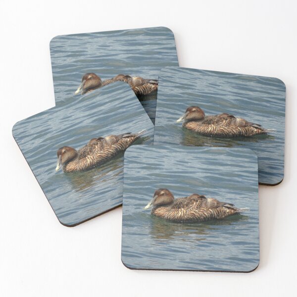 Item preview, Common Eider Duck Swimming in Ocean designed and sold by HematiteDesign.