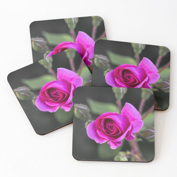 Item preview, Pink Rose Mystery designed and sold by MoePhotography.