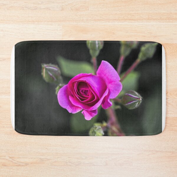 Item preview, Pink Rose Mystery designed and sold by MoePhotography.