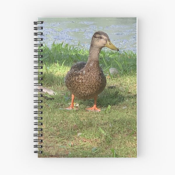 Item preview, Cute duck  designed and sold by BlueArt7.