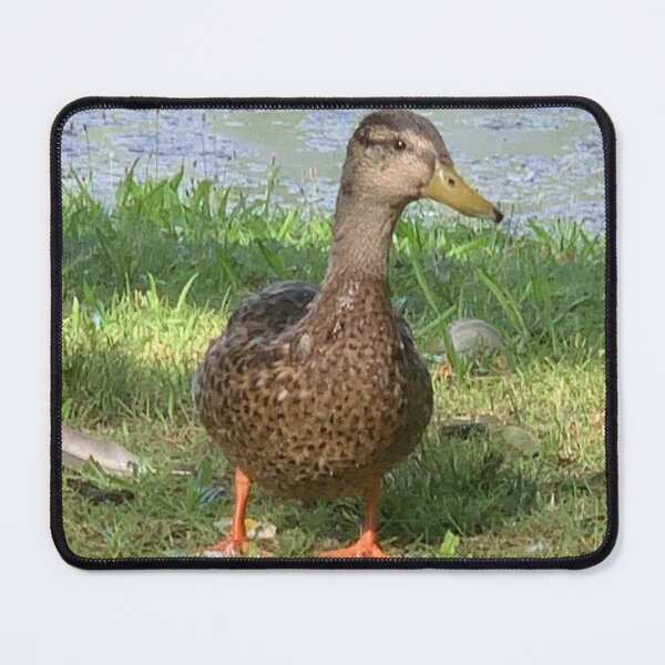 Item preview, Cute duck designed and sold by BlueArt7.