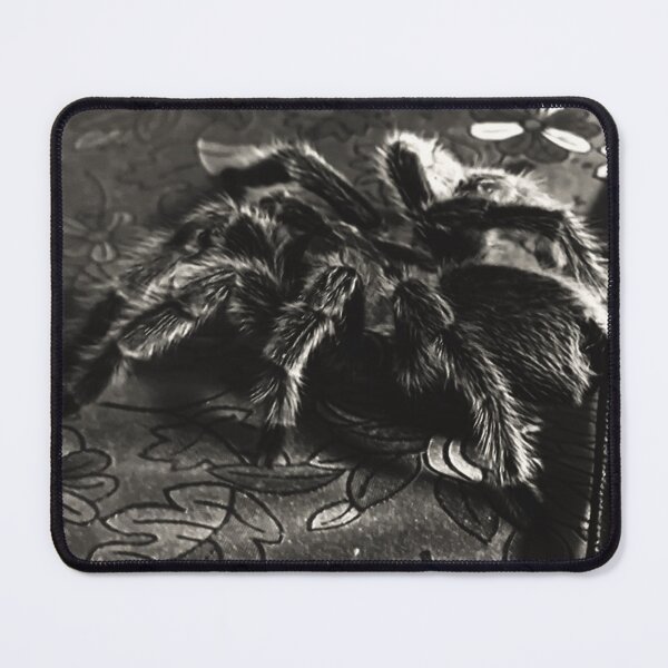 Item preview, Tarantula designed and sold by Zvezdana.