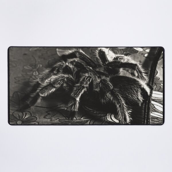 Item preview, Tarantula designed and sold by Zvezdana.