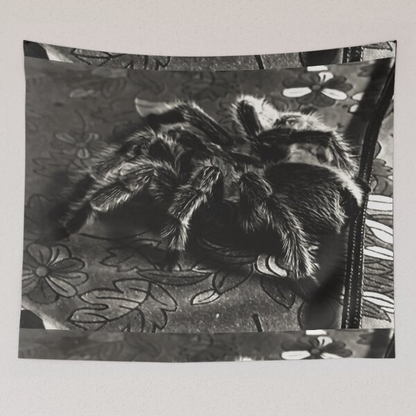 Item preview, Tarantula  designed and sold by Zvezdana.