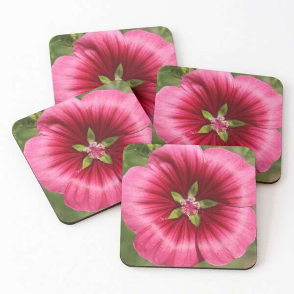 Item preview, Bright pink mallow flower - Vibrant flower photography designed and sold by Cha-s-lens.