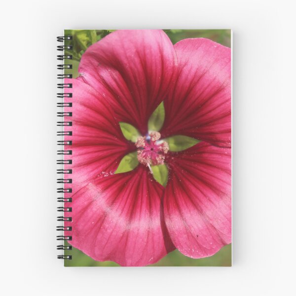 Item preview, Bright pink mallow flower - Vibrant flower photography designed and sold by Cha-s-lens.