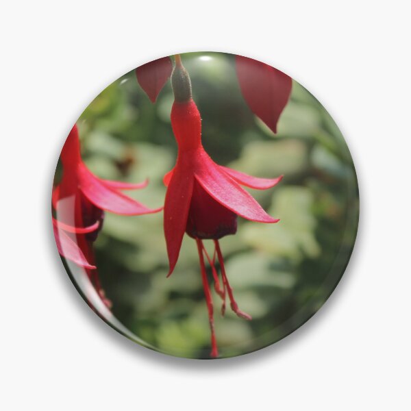 Item preview, Elegant red fuchsia flowers - Soft nature photography designed and sold by Cha-s-lens.