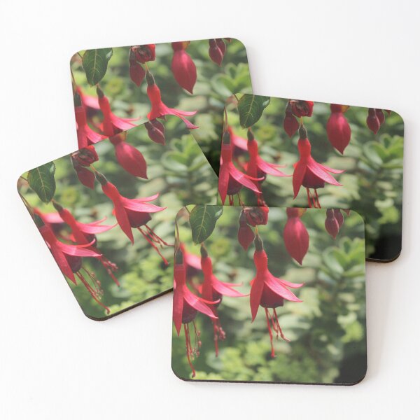 Item preview, Elegant red fuchsia flowers - Soft nature photography designed and sold by Cha-s-lens.