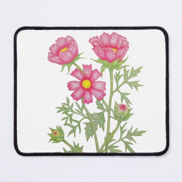 Item preview, Hand Drawn Pink Cosmos Flower Botanical Illustration | Colored Pencil Floral Art Print & Stickers designed and sold by calmcolourprint.