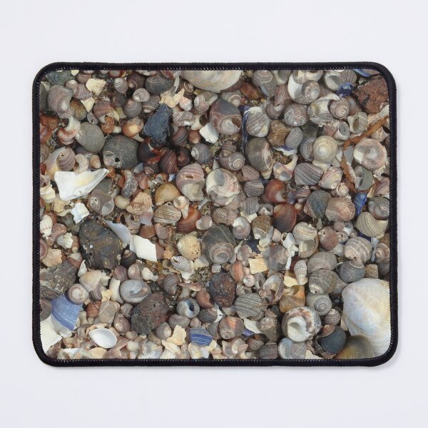 Item preview, Sea Shells on the Seashore designed and sold by HematiteDesign.
