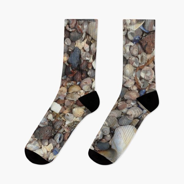 Item preview, Sea Shells on the Seashore designed and sold by HematiteDesign.