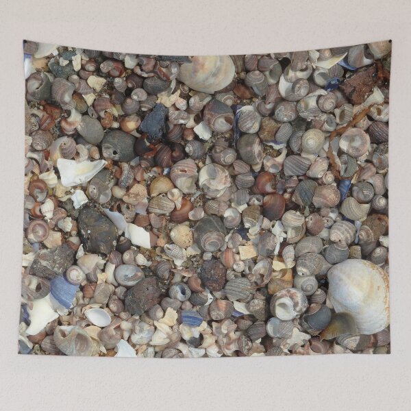 Item preview, Sea Shells on the Seashore designed and sold by HematiteDesign.