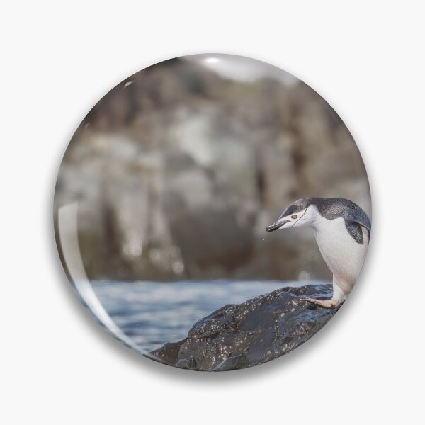 Item preview, Penguin on Rocky Shore designed and sold by PhotoArt by Joan Carroll.