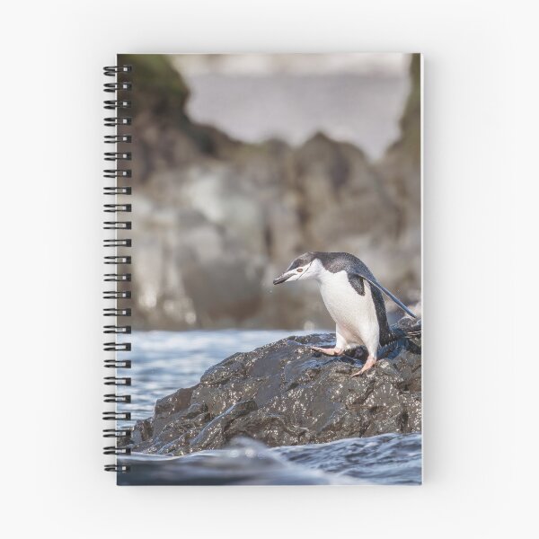 Item preview, Penguin on Rocky Shore designed and sold by PhotoArt by Joan Carroll.