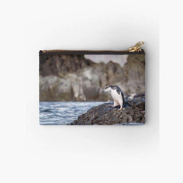 Item preview, Penguin on Rocky Shore designed and sold by PhotoArt by Joan Carroll.