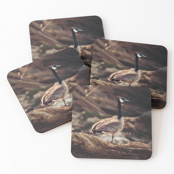 Item preview, One Foot On A Log designed and sold by Jim Love.