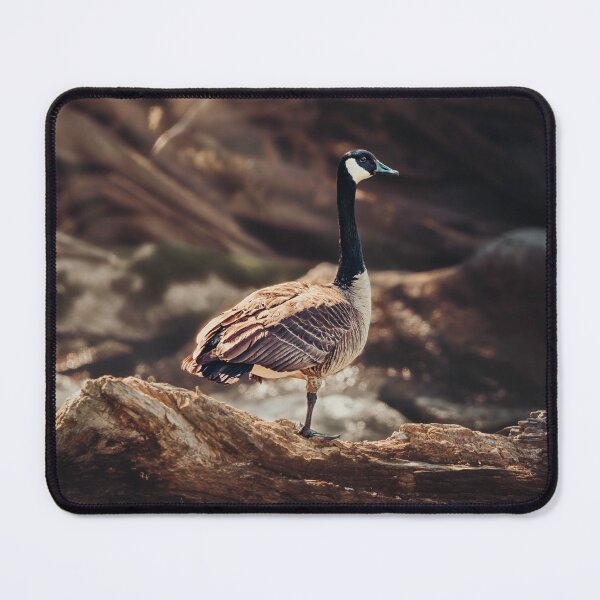 Item preview, One Foot On A Log designed and sold by Jim Love.
