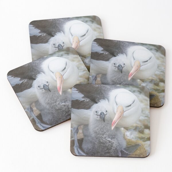 Item preview, Albatross with Chick Falkland Islands designed and sold by PhotoArt by Joan Carroll.