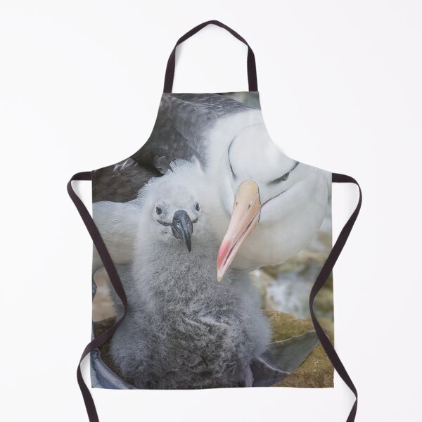 Item preview, Albatross with Chick Falkland Islands designed and sold by PhotoArt by Joan Carroll.
