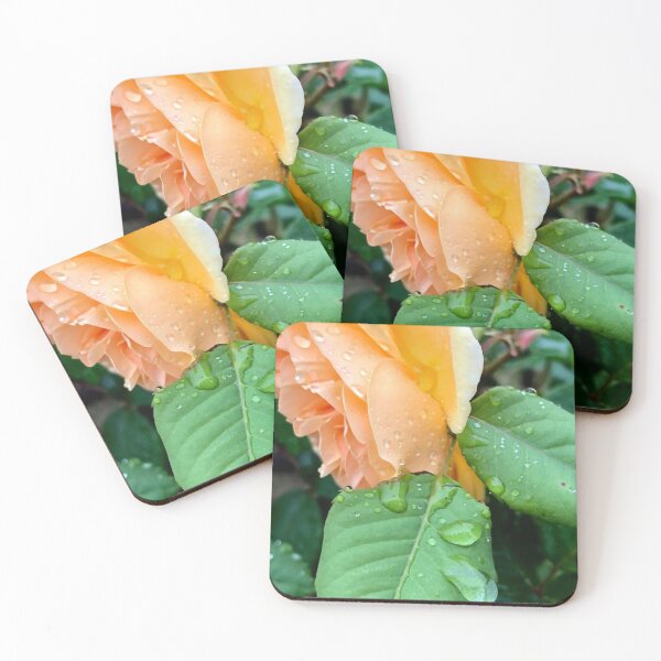 Item preview, Rose, no filter photograph designed and sold by GiSilver.