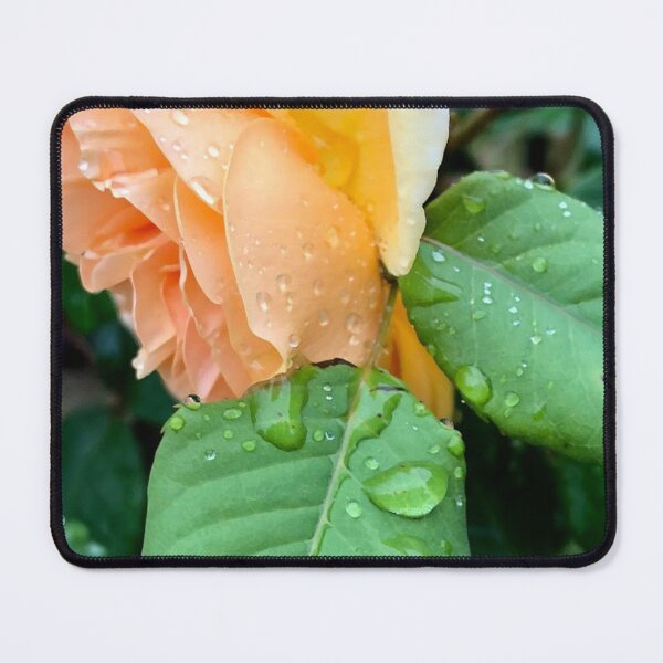 Item preview, Rose, no filter photograph designed and sold by GiSilver.