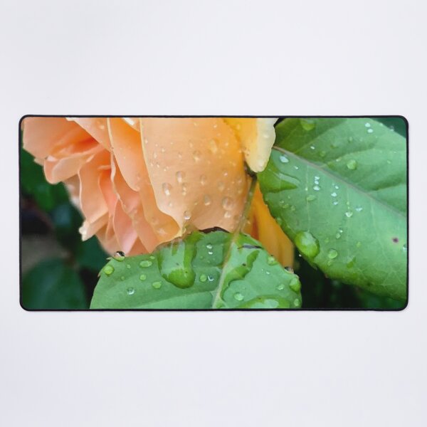 Item preview, Rose, no filter photograph designed and sold by GiSilver.