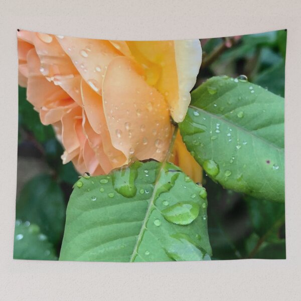 Item preview, Rose, no filter photograph designed and sold by GiSilver.