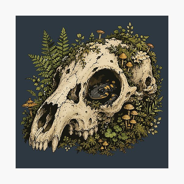 Item preview, Salamander in Animal Skull Woodland Nature Illustration designed and sold by SimplePoDesign.