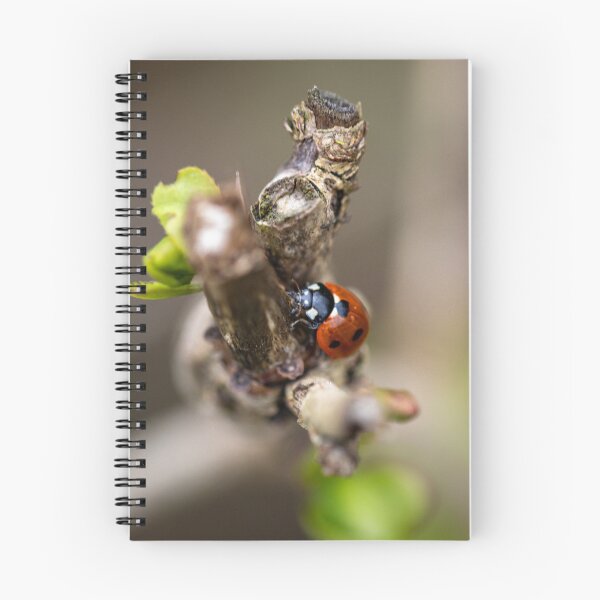 Item preview, Ladybug wants to reach high designed and sold by JennyKmbck.
