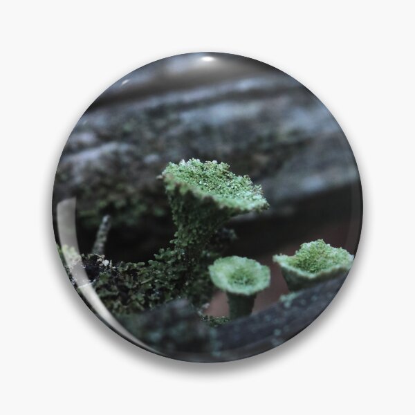 Item preview, Moody Pixie Cup Lichen Cladonia on Forest Log Macro designed and sold by vikko-art.