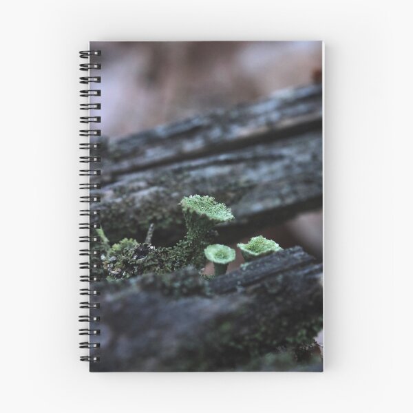 Item preview, Moody Pixie Cup Lichen Cladonia on Forest Log Macro designed and sold by vikko-art.