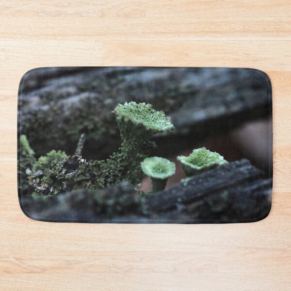 Item preview, Moody Pixie Cup Lichen Cladonia on Forest Log Macro designed and sold by vikko-art.