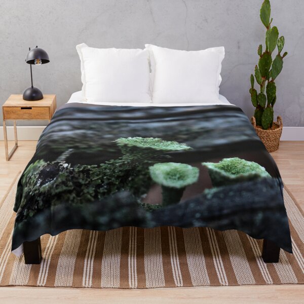 Item preview, Moody Pixie Cup Lichen Cladonia on Forest Log Macro designed and sold by vikko-art.