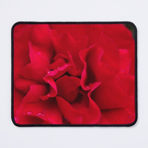Item preview, Summer Garden Red Rose Blooming While Catching Rain designed and sold by vtspatial.