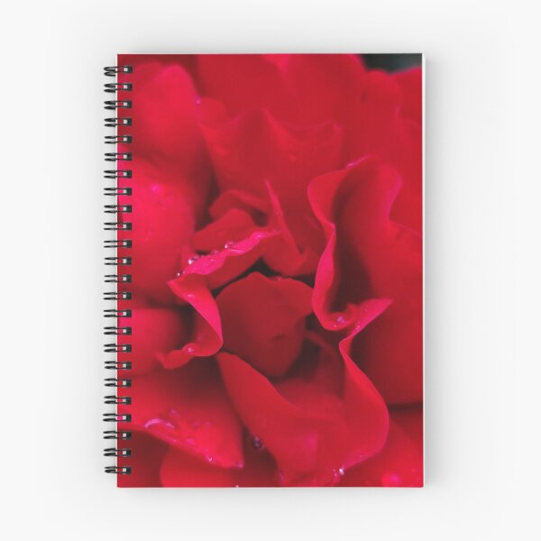 Item preview, Summer Garden Red Rose Blooming While Catching Rain designed and sold by vtspatial.