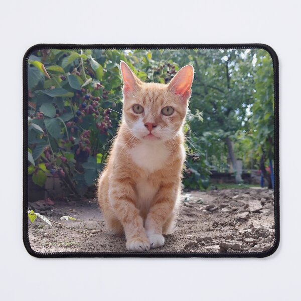 Item preview, Garden Cat Portrait - Cute Ginger Cat designed and sold by MB-CatPrints.