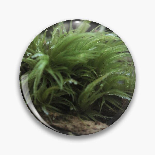 Item preview, Vibrant Lush Green Forest Moss on Decaying Wood Macro designed and sold by vikko-art.