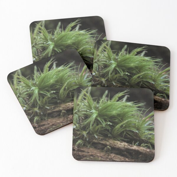 Item preview, Vibrant Lush Green Forest Moss on Decaying Wood Macro designed and sold by vikko-art.