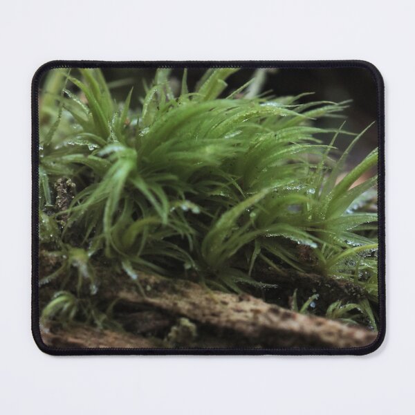 Item preview, Vibrant Lush Green Forest Moss on Decaying Wood Macro designed and sold by vikko-art.