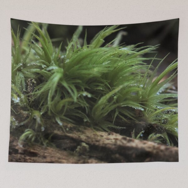 Item preview, Vibrant Lush Green Forest Moss on Decaying Wood Macro designed and sold by vikko-art.