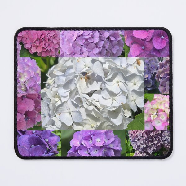 Item preview, Hydrangea Hysteria designed and sold by HoshiumiKiyo.