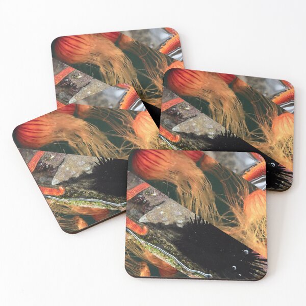 Item preview, Aquarium in Orange designed and sold by HoshiumiKiyo.