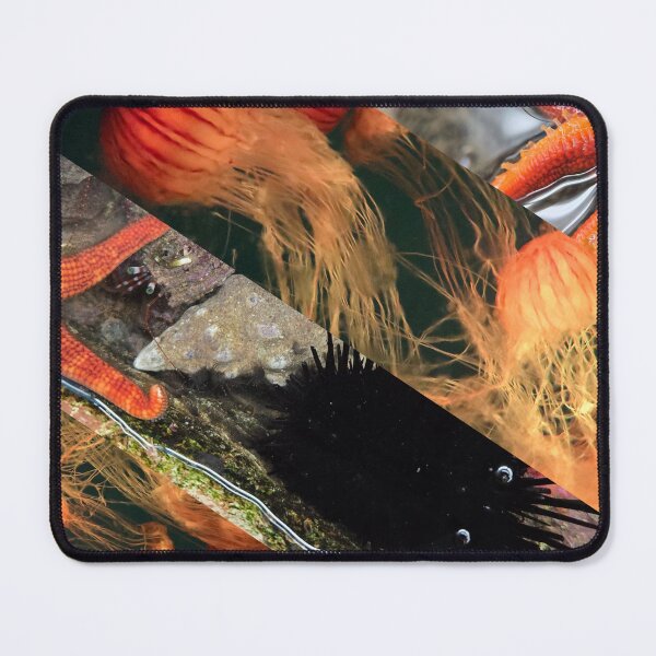 Item preview, Aquarium in Orange designed and sold by HoshiumiKiyo.
