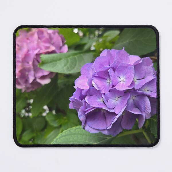 Item preview, Hydrangea Pair designed and sold by HoshiumiKiyo.