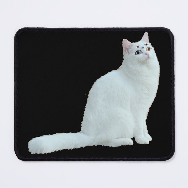 Item preview, weirdcore kitty!!! designed and sold by PLANET-VEE.