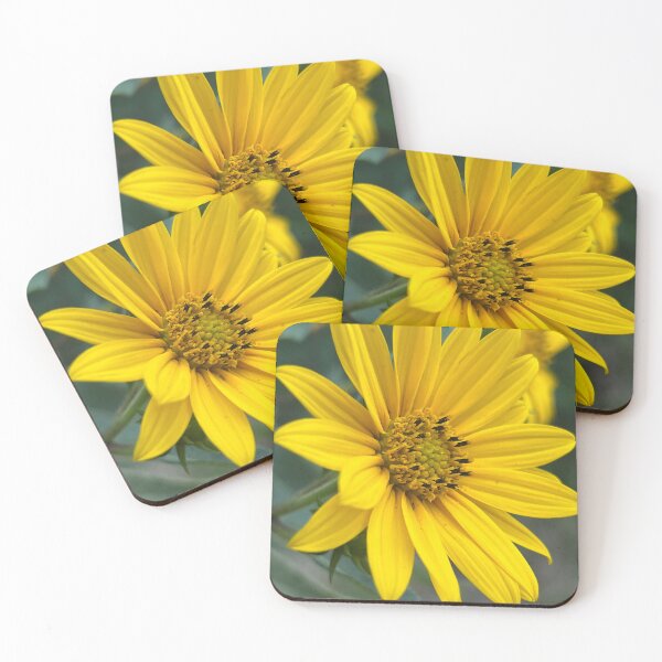 Item preview, Sunflower, no filter photograph designed and sold by GiSilver.