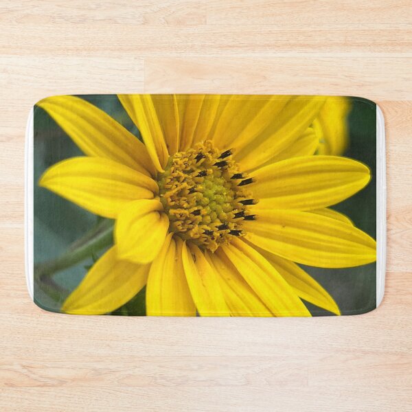 Item preview, Sunflower, no filter photograph designed and sold by GiSilver.