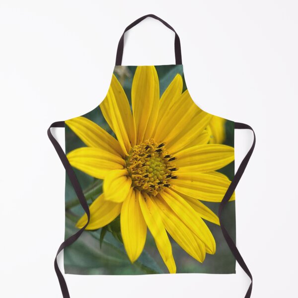 Item preview, Sunflower, no filter photograph designed and sold by GiSilver.
